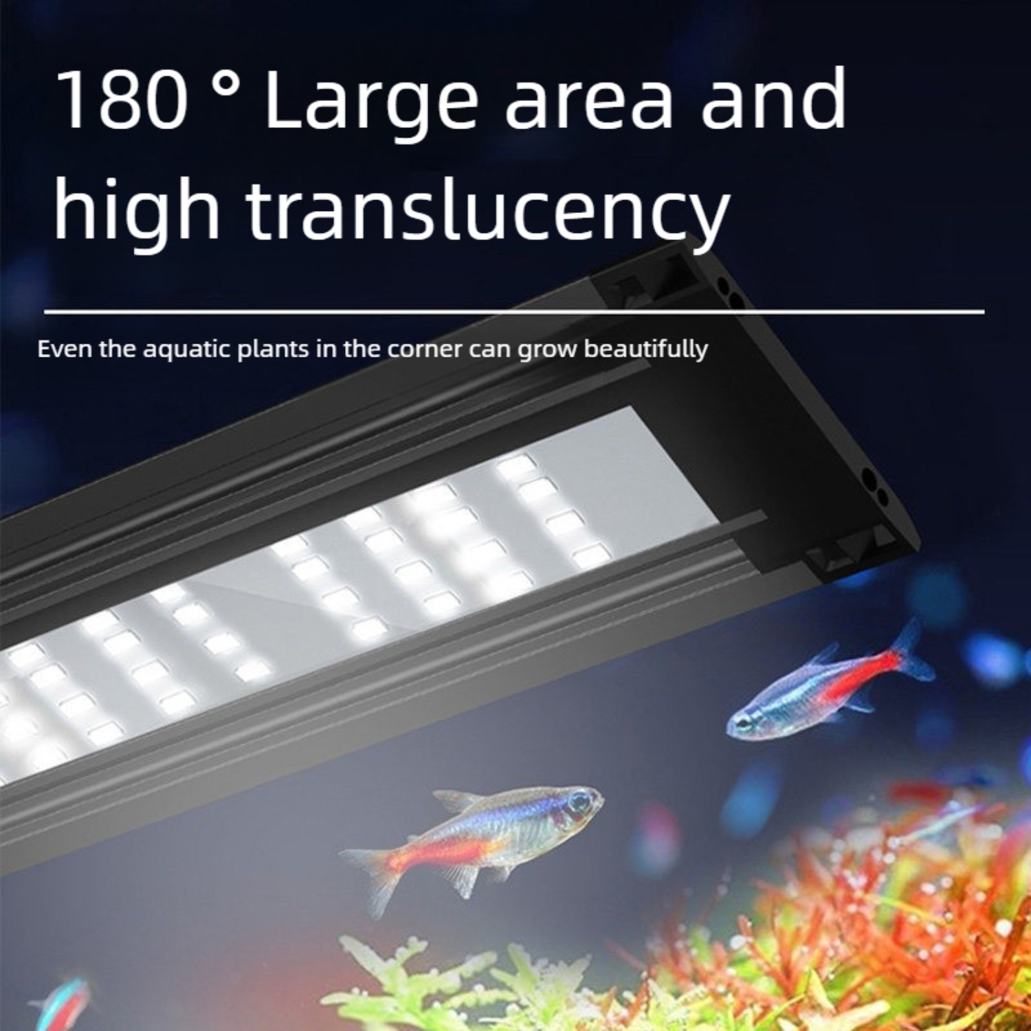 ไฟ LED สำหรับตู้ปลาขนาด 12 นิ้ - Planted Aquarium Freshwater บทวิจารณ์และราคา