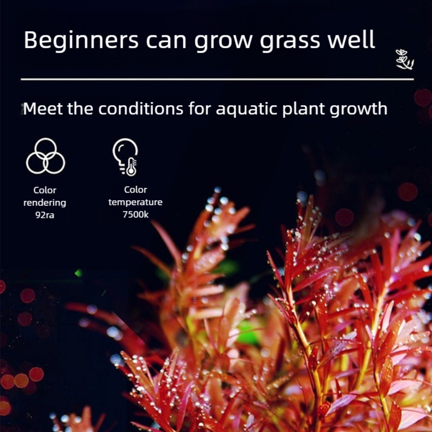 ไฟ LED สำหรับตู้ปลาขนาด 12 นิ้ - Planted Aquarium Freshwater บทวิจารณ์และราคา
