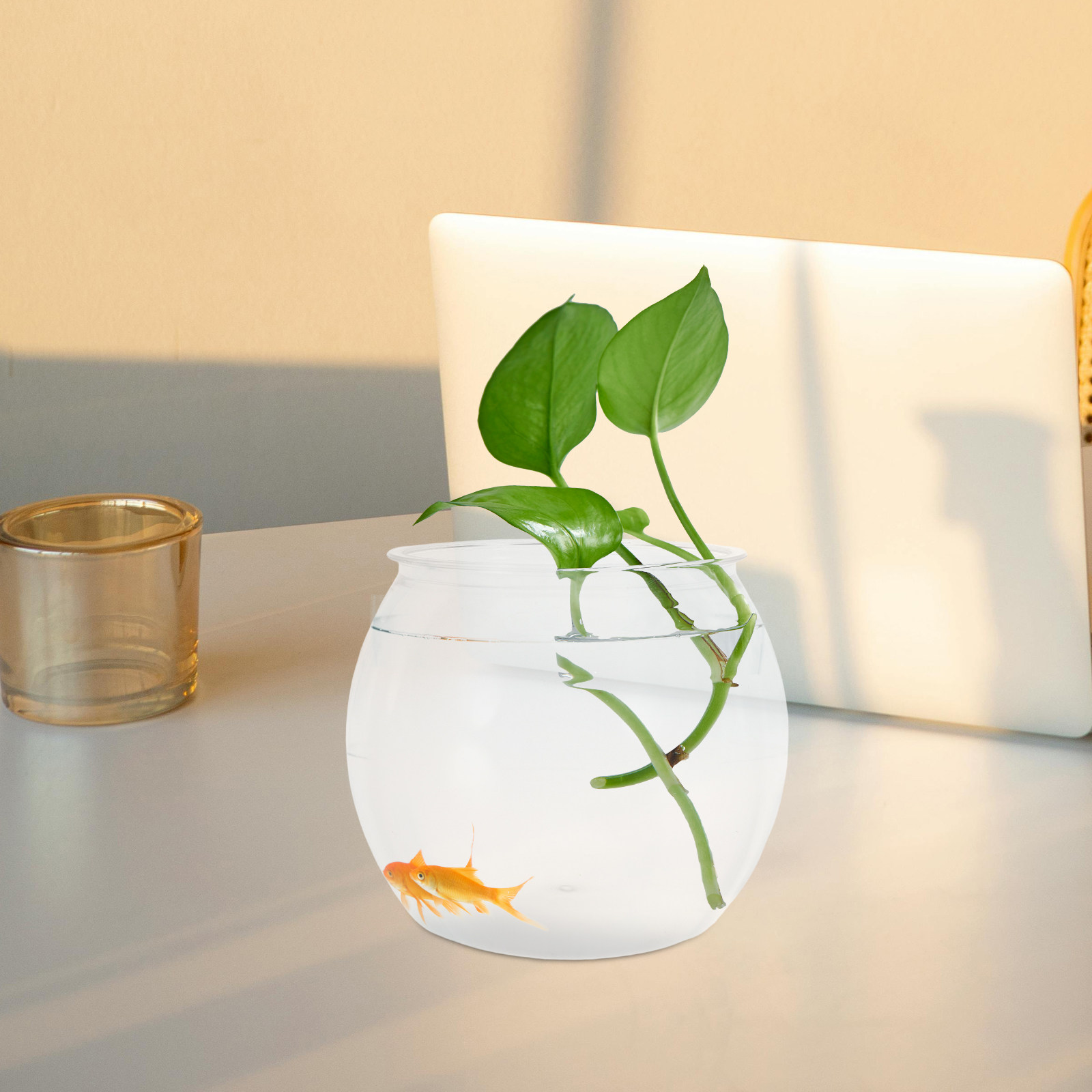 ตู้ปลาทรงกลมกันแตก ทำจากพลาสติ - Planted Aquarium For Goldfish บทวิจารณ์และราคา