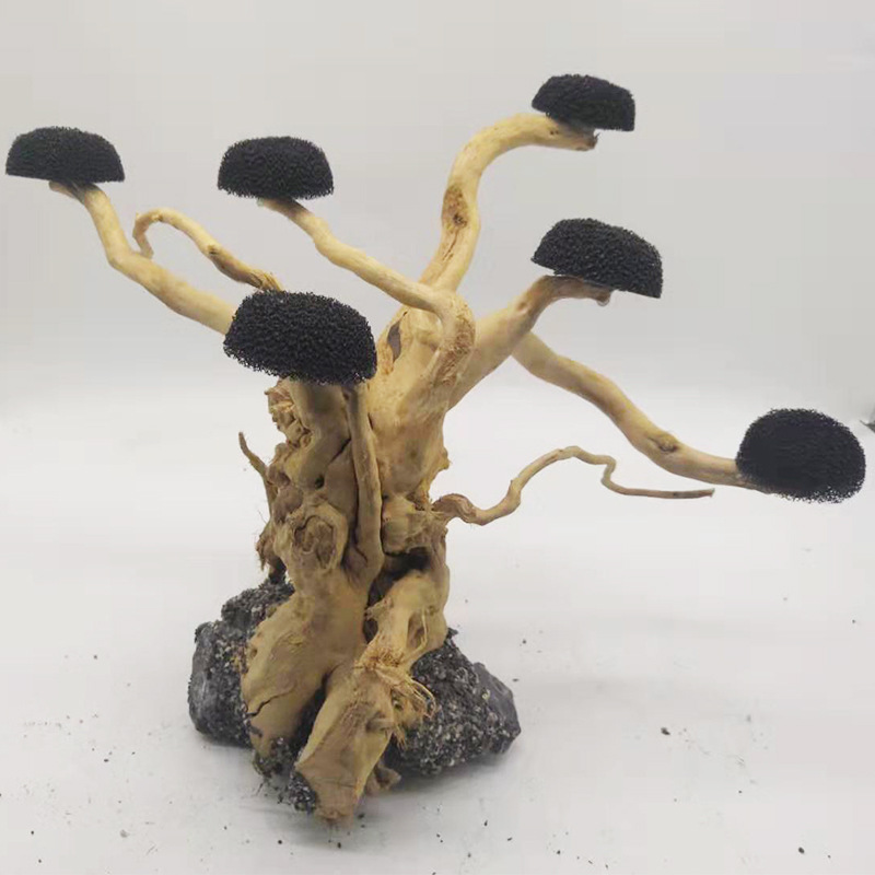 พิพิธภัณฑ์สัตว์น้ํา Driftwood  - Aquarium Plant Root Tabs บทวิจารณ์และราคา