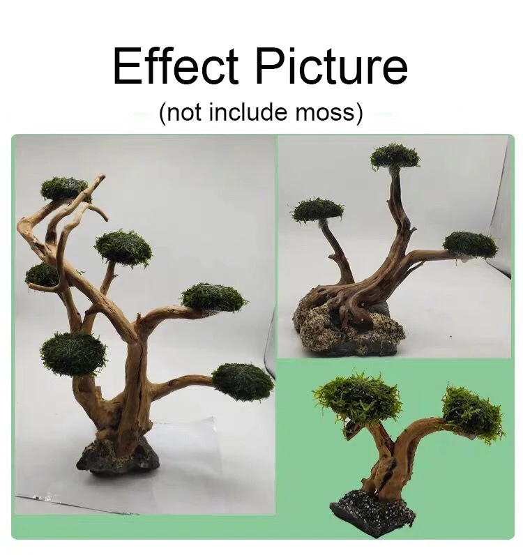 พิพิธภัณฑ์สัตว์น้ํา Driftwood  - Aquarium Plant Root Tabs บทวิจารณ์และราคา