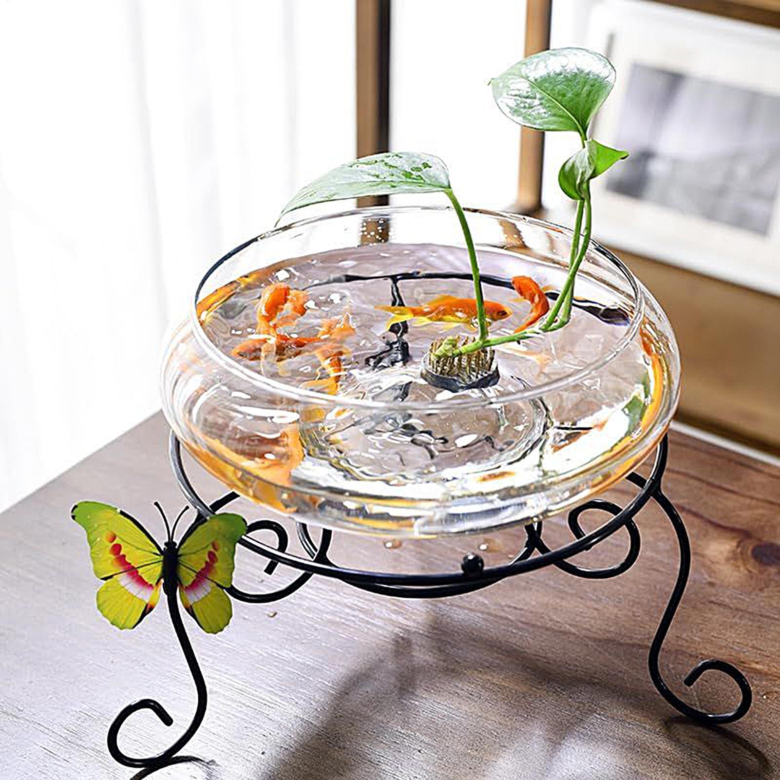 ชามแก้วสำหรับปลา ชามแก้วขนาดให - Planted Aquarium For Goldfish บทวิจารณ์และราคา