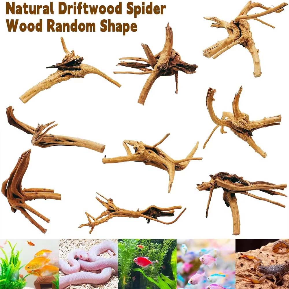 ไม้ลอยน้ำสำหรับตู้ปลา 1 ชิ้น ไ - Aquarium Plant Root Tabs บทวิจารณ์และราคา