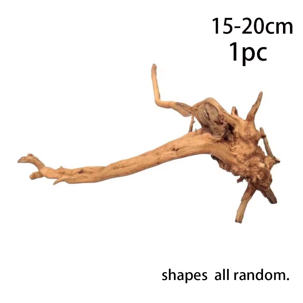 ไม้ลอยน้ำสำหรับตู้ปลา 1 ชิ้น ไ - Aquarium Plant Root Tabs บทวิจารณ์และราคา