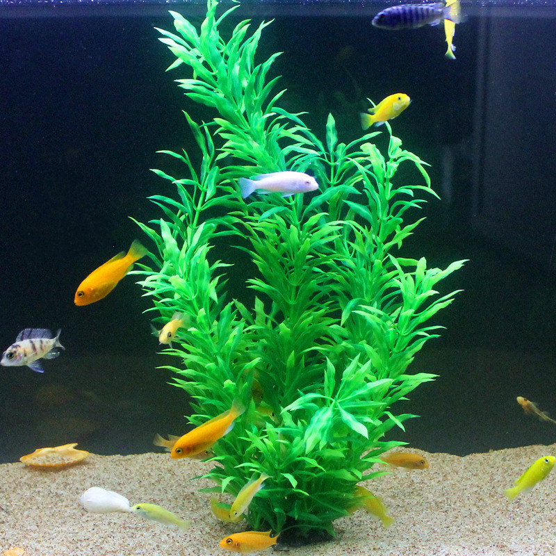 50 ซม.ถังปลาประดิษฐ์พืชหายากAq - Aquarium Plant Display บทวิจารณ์และราคา