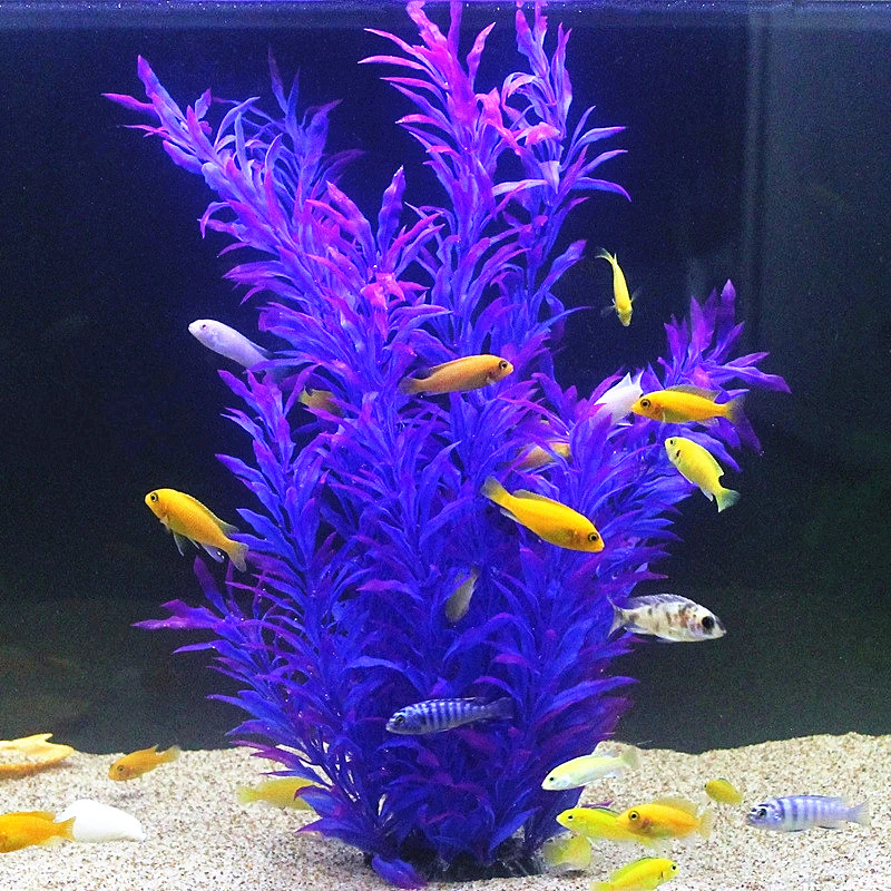 50 ซม.ถังปลาประดิษฐ์พืชหายากAq - Aquarium Plant Display บทวิจารณ์และราคา