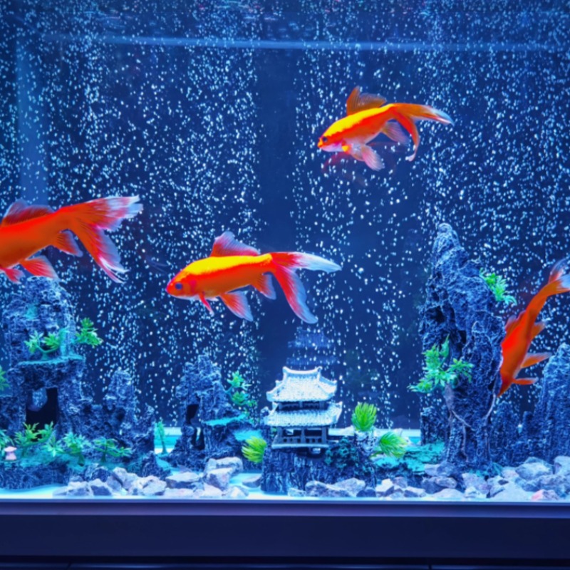 ชุดตกแต่งตู้ปลา หินประดับ ตกแต - Aquarium Plant Root Tabs บทวิจารณ์และราคา