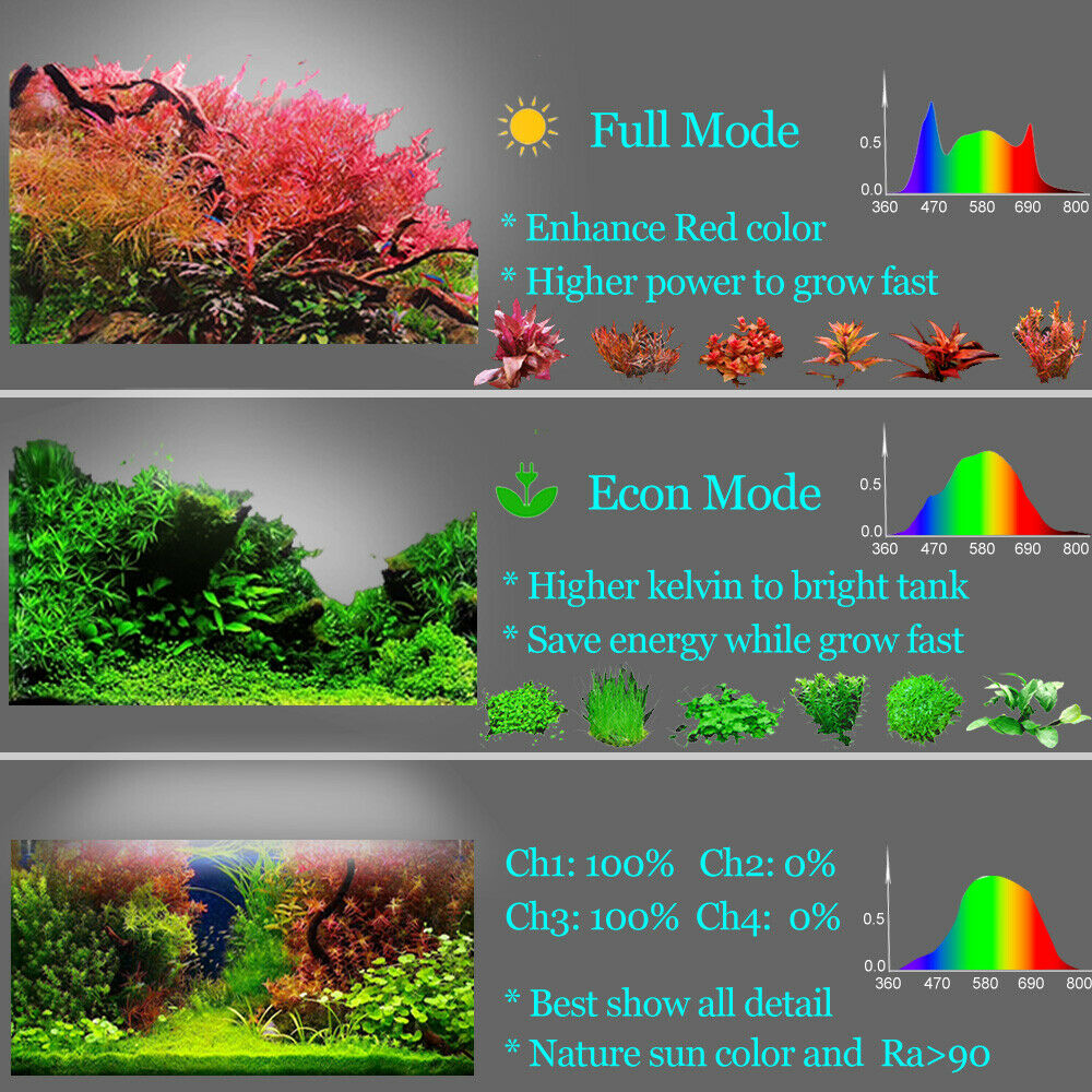 Popploom-ไฟ LED จับเวลาสำหรับต - Planted Aquarium Freshwater บทวิจารณ์และราคา