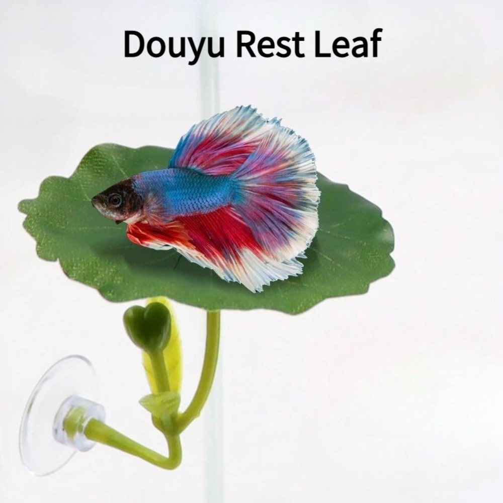 เปลนอนปลาเบตต้าใบไม้สีเขียว 1  - Planted Aquarium For Betta บทวิจารณ์และราคา