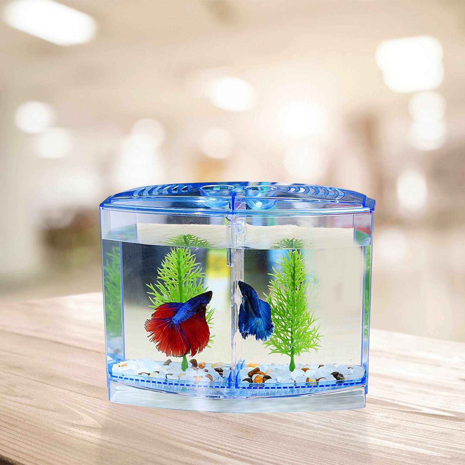 1 ชุดตู้ปลาอะคริลิกใสขนาดเล็กท - Planted Aquarium For Goldfish บทวิจารณ์และราคา